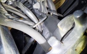 KAWASAKI NINJA 250 2020 EX250L