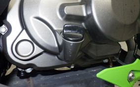 KAWASAKI Z125 PRO BR125H