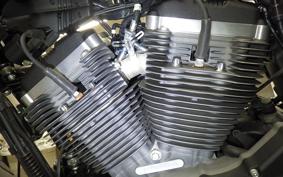 HARLEY XL1200CX 2020