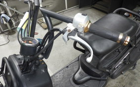 HONDA ZOOMER 2021 AF58