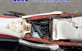 HONDA TLR200