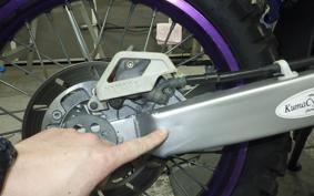 YAMAHA TT250R RAID 4GY