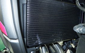 HONDA NX400 2025 NC65