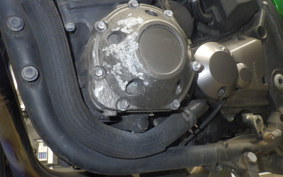 KAWASAKI ZRX1200 D 2013 ZRT20D