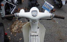 HONDA LITTLE CUB E 2021 AA01