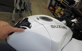 SUZUKI HAYABUSA Gen.3 2023 EJ11A
