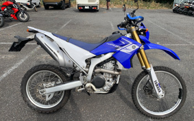 YAMAHA WR250R DG15J