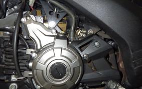 KAWASAKI Z125 PRO BR125H