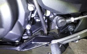 KAWASAKI NINJA 400 2022 EX400G