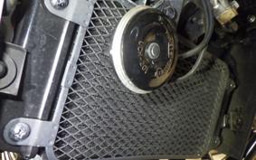 SUZUKI Vｽﾄﾛｰﾑ250A 2012