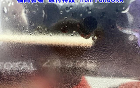 OTHER  JOG  POCHE -2