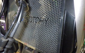 KAWASAKI Z1000 Gen.5 2020 ZXT00W