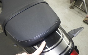 KAWASAKI Z650 RS 2024 ER650R