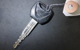 HONDA FTR223 2006 MC34