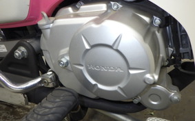 HONDA C110 SUPER CUB