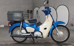 HONDA SUPER CUB50 AA09