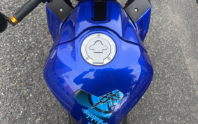 YAMAHA YZF-R25 RG43J