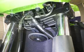 KAWASAKI ZRX1200 D 2017 ZRT20D