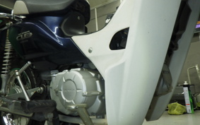 HONDA C110 SUPER CUB 2024 JA10