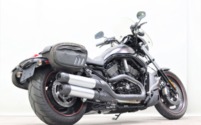 HARLEY VRSCDX 2008 HMH