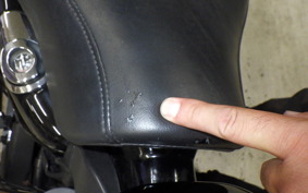 HARLEY XL1200X 2010