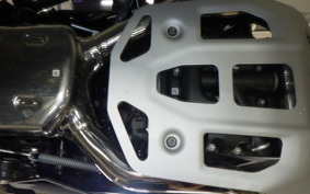 BMW R1300GS ASA 2025