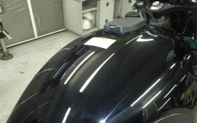 KAWASAKI W175 SE