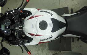 KAWASAKI ZX 1400 NINJA R A 2020