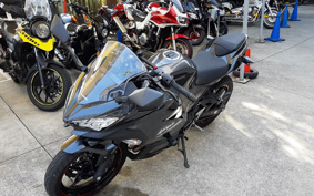 KAWASAKI NINJA 250 EX250P