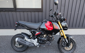 HONDA GROM JC92