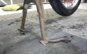 HONDA C50 SUPER CUB E C50