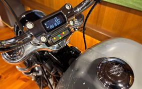 HARLEY FXST1340-1450 2024 BVJ