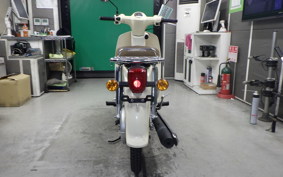 HONDA C50 SUPER CUB AA09