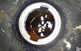 HONDA LITTLE CUB E AA01