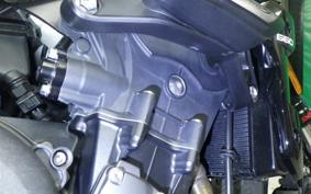 TRIUMPH TRIDENT 660 2024