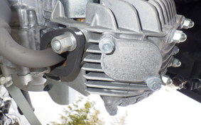 HONDA ｸﾛｽｶﾌﾞ50 AA06