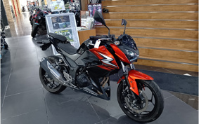 KAWASAKI Z250 ER250C