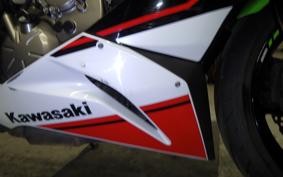 KAWASAKI NINJA ZX-6R A 2021 ZX636G