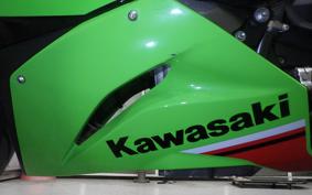 KAWASAKI NINJA ZX-6R A 2022 ZX636G