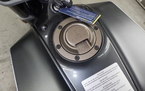 HUSQVARNA SVARTPILEN 250 2019