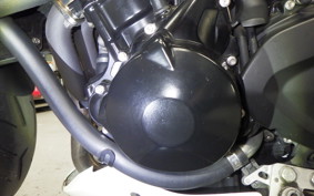 TRIUMPH STREET TRIPLE 2008