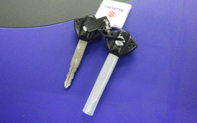 SUZUKI Vｽﾄﾛｰﾑ650XT 2025 C733M