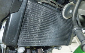 KAWASAKI Z250 A 2021 ER250C