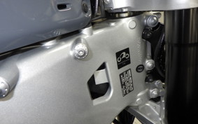 YAMAHA XSR900 GP 2024 RN96J