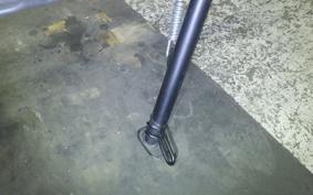 TRIUMPH TRIDENT 660 2024