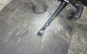 YAMAHA MT-09 SP 2024 RN87J