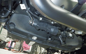 HARLEY RH975S 2025