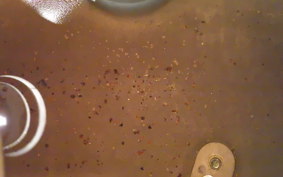 YAMAHA FZR250 R 2000 3LN