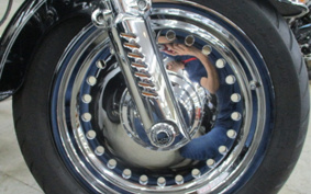 HARLEY FLSTF1340-1450 2013 BX5