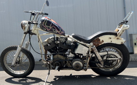 HARLEY FLH1200 2024 445